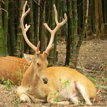 LGBT Wildlife Tour