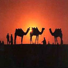 Rajasthan Tour With Agra